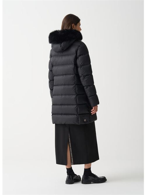  COLMAR | 2221E 2YO/99
